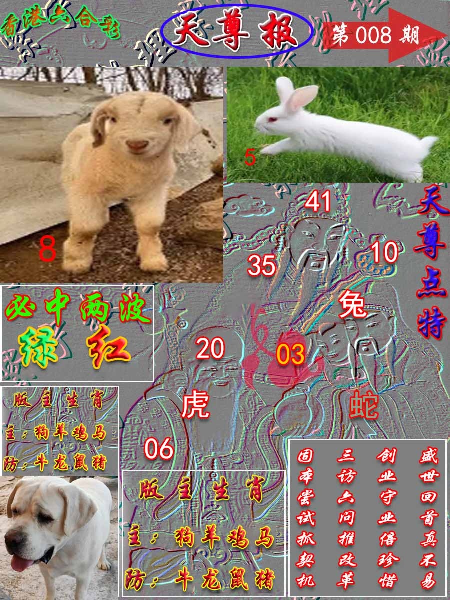 008期天尊报[图]