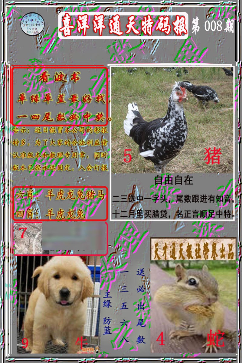 008期洋通报[图]