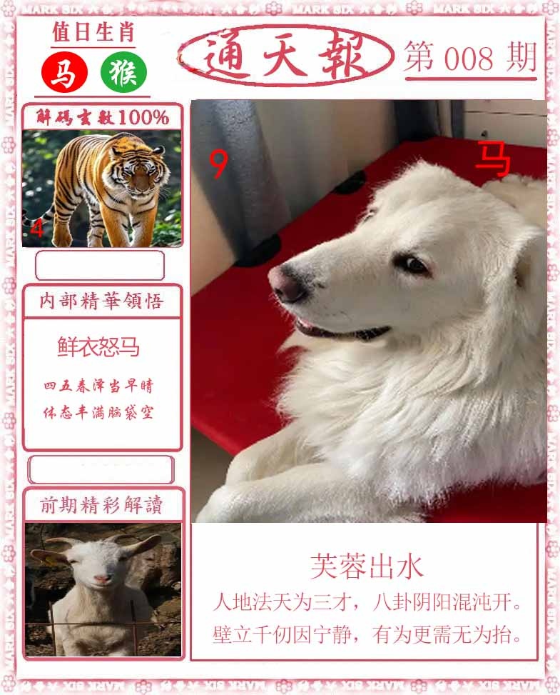 008期正版通天报[图]