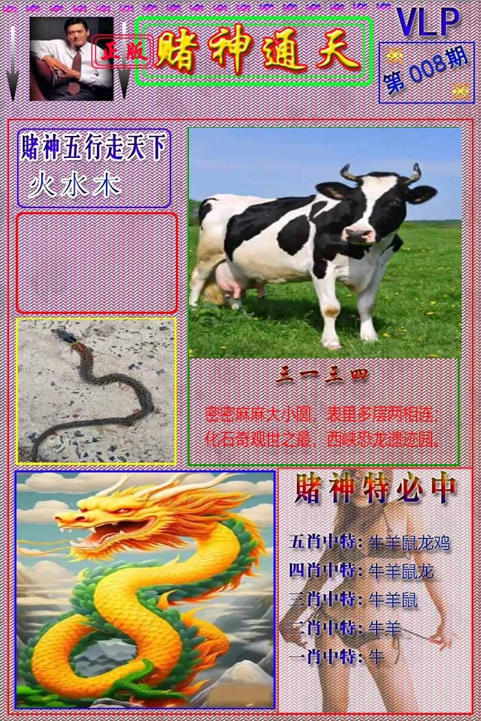 008期赌神通天报[图]