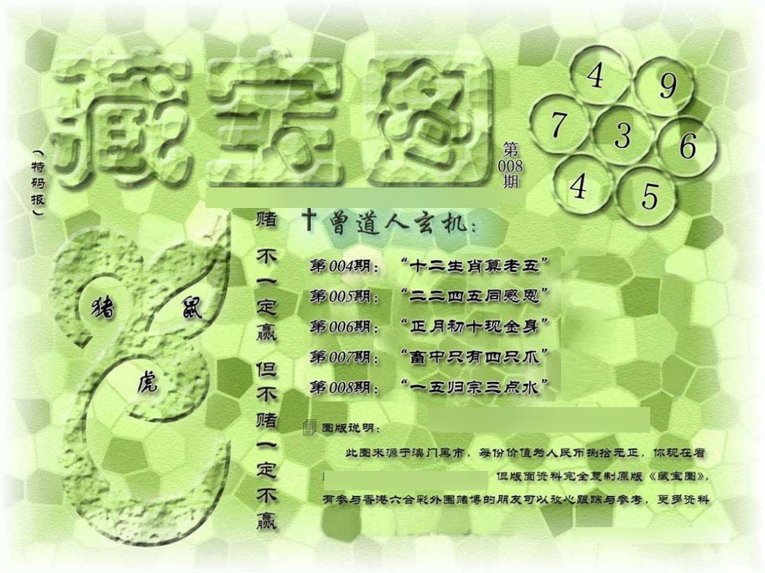 008期假新藏宝图[图]