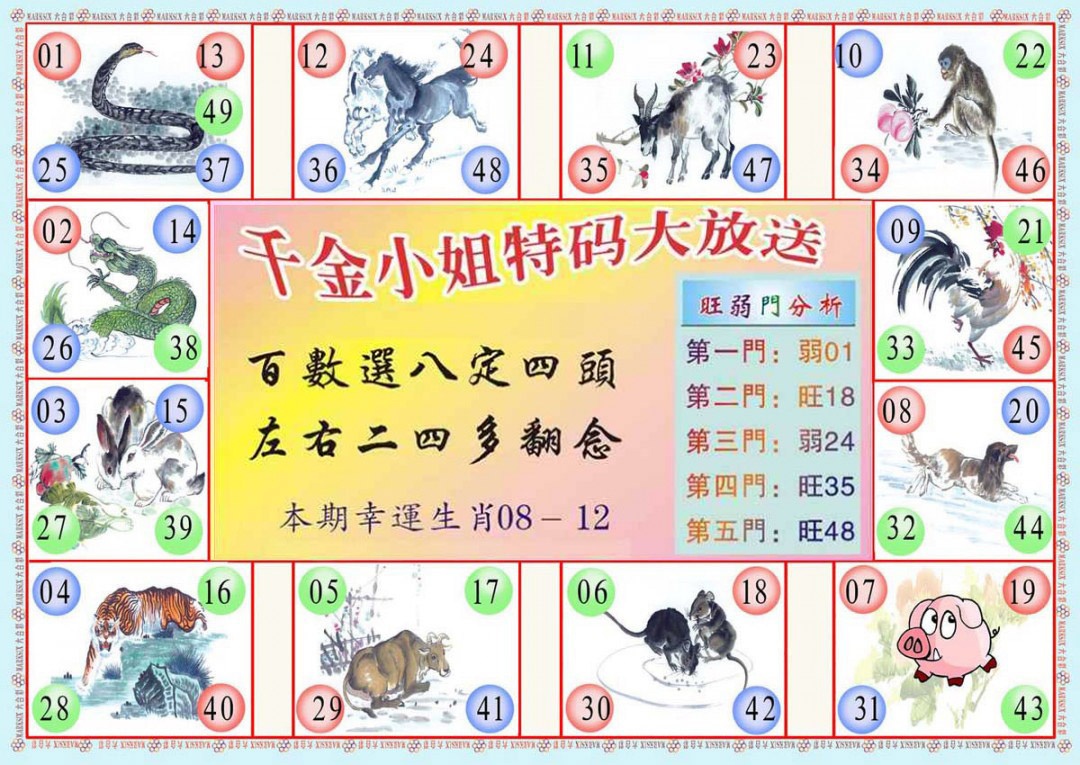 008期(新版)千金小姐B[图]