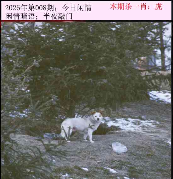 008期今日闲情[图]