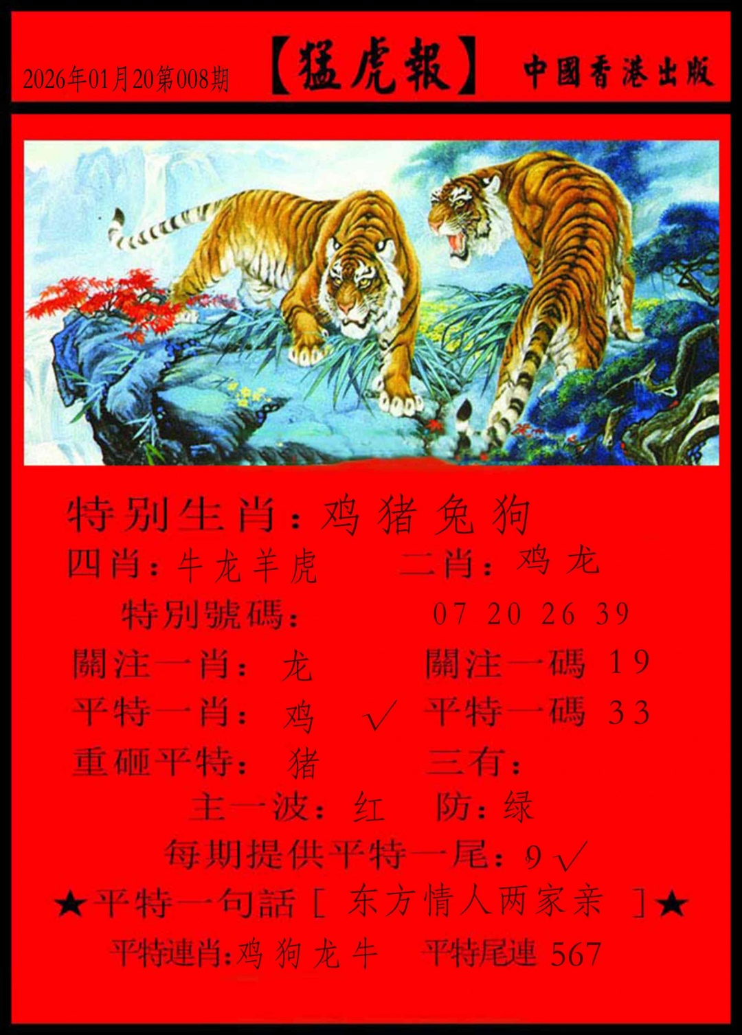 008期猛虎报[图]