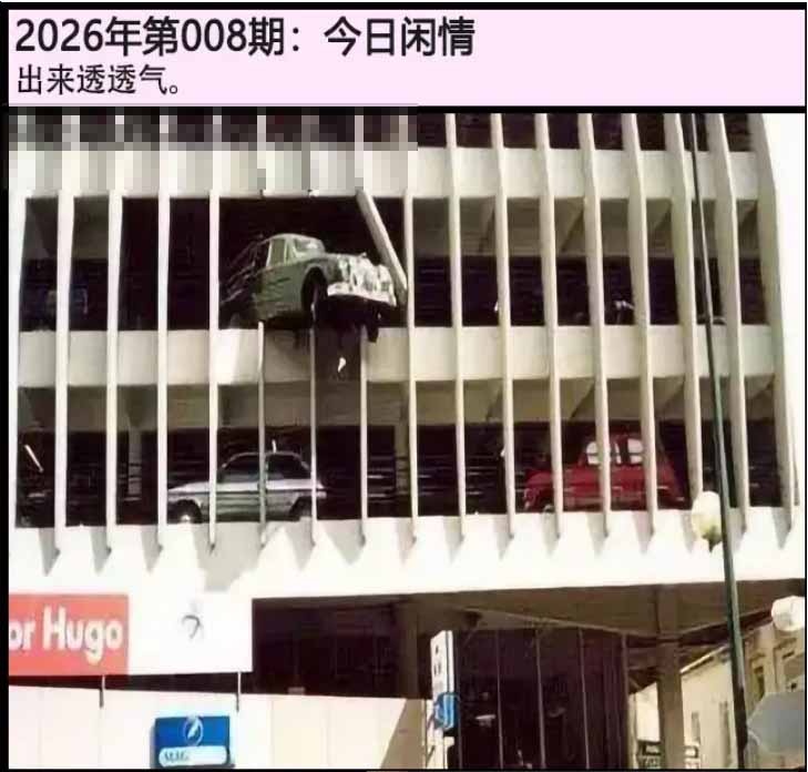 008期另版今日闲情[图]