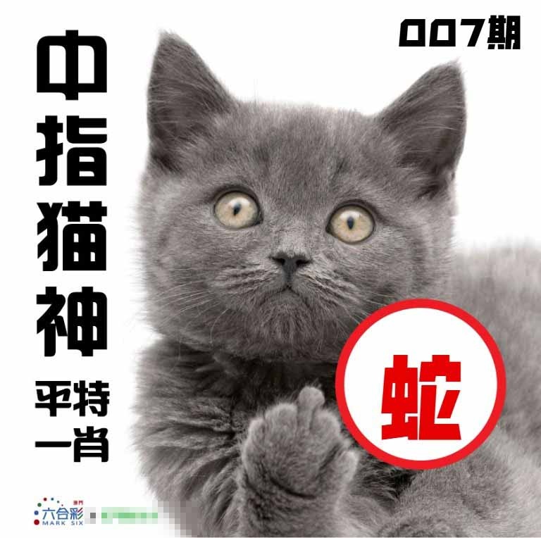 007期中指猫神[图]