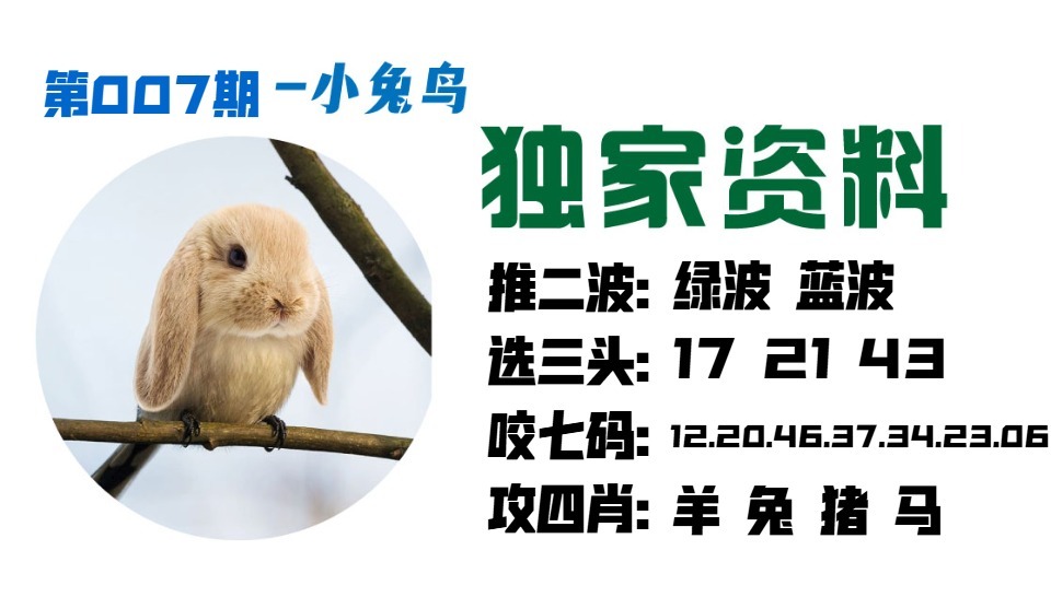 007期小兔鸟[图]